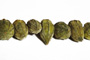 Okra