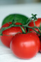 Tomatos